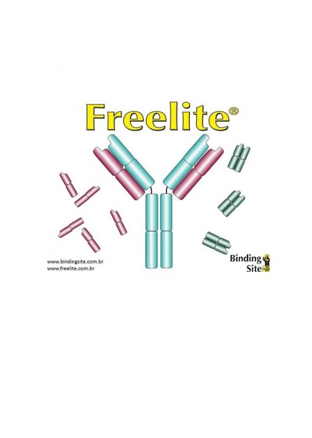 copy of Real-time PCR System